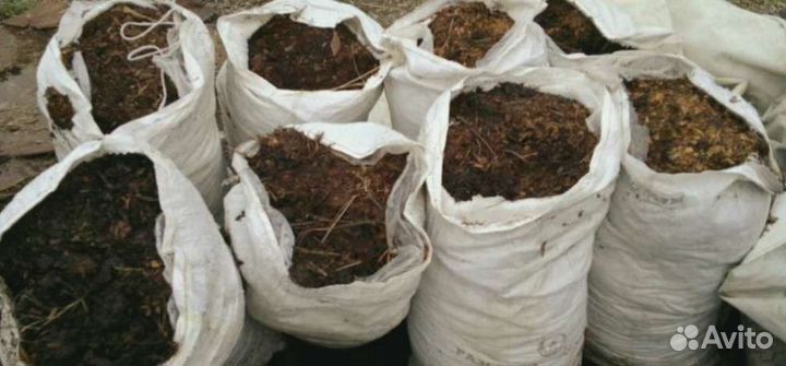 Конский навоз перепревший/свежий/с опилком/чистый