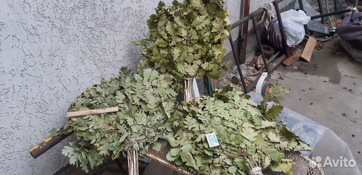 Веники дубовые для бани и сауны