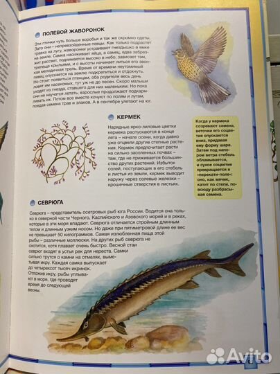 Детская энциклопедия