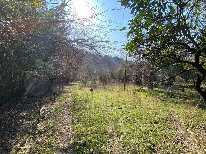 Участок 15 сот. (ИЖС)