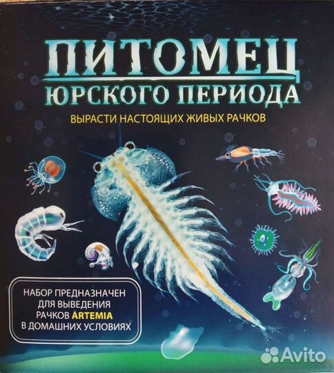 Рачки для разведения