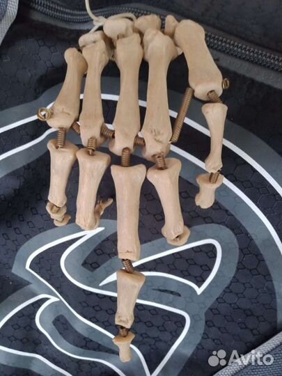Скелет кисть муляж