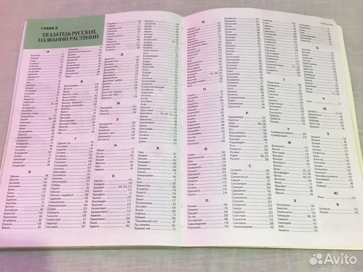 Книга «Все о комнатных растениях»