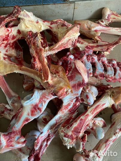 Кости говядина для собак