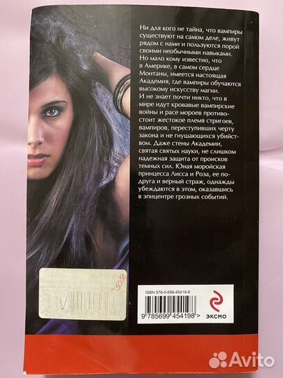 Книга Академия вампиров Райчел Мид