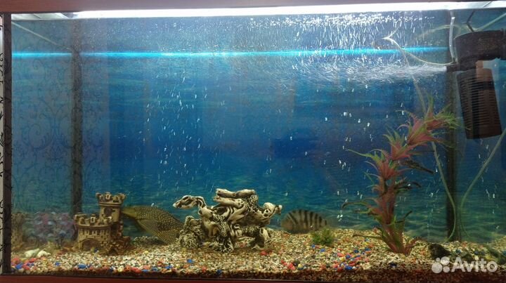 Аквариум с тумбой