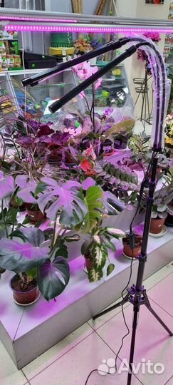 Фитолампа для растений полный спектр