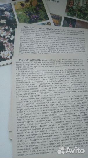 Открытки СССР