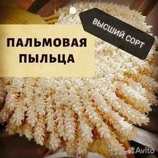 Пальмовая пыльца