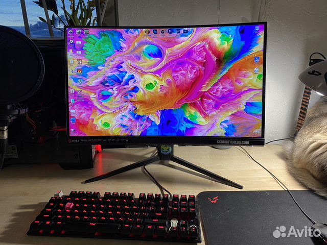 Msi optix g24 series 144 гц купить в Санкт-Петербурге | Электроника | Авито
