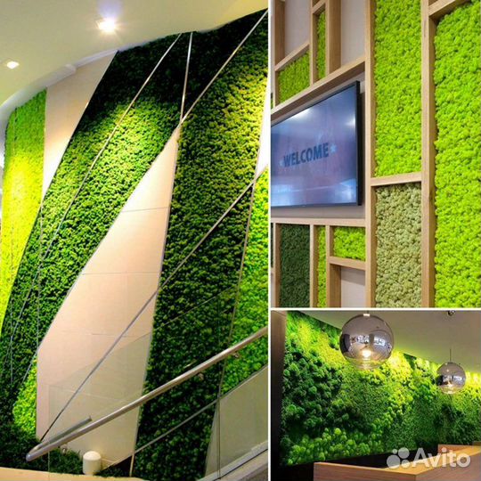 Средство готовое для стабилизация растений