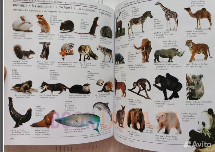 Словарь. 5 языков. Англ,Фр,Нем,Исп, Итал