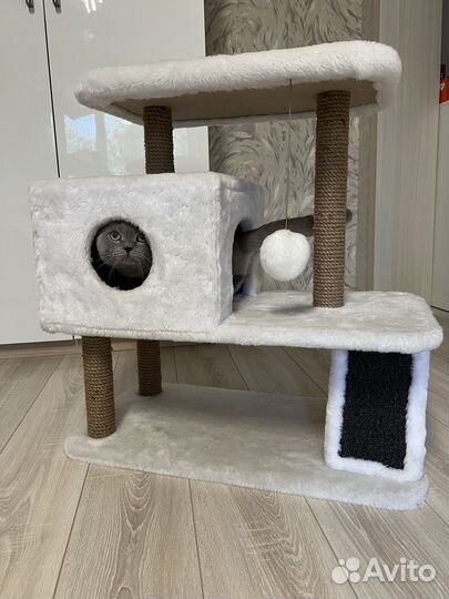 Домик для кошки с когтеточкой