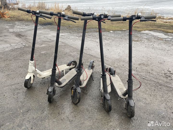 Электросамокаты Xiaomi m365