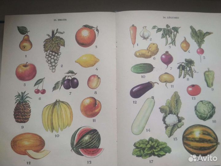 Французско-Русский иллюстрированный словарь