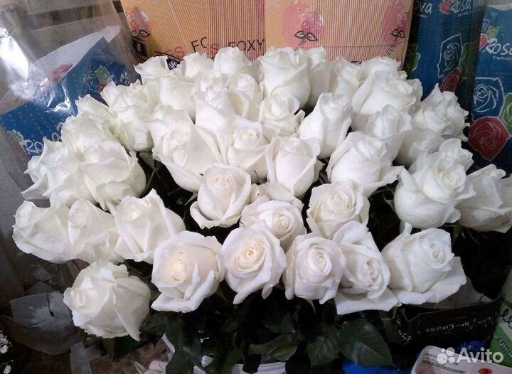 Высокие розы Гигантские розы Доставка цветов