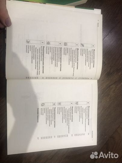 Анатомия человека. Физиология