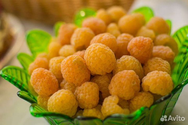 Малина ягода свежая