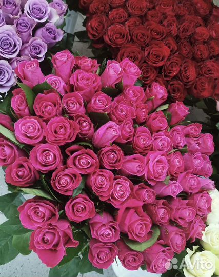 Розы 50см букеты подарки с доставкой 24/7