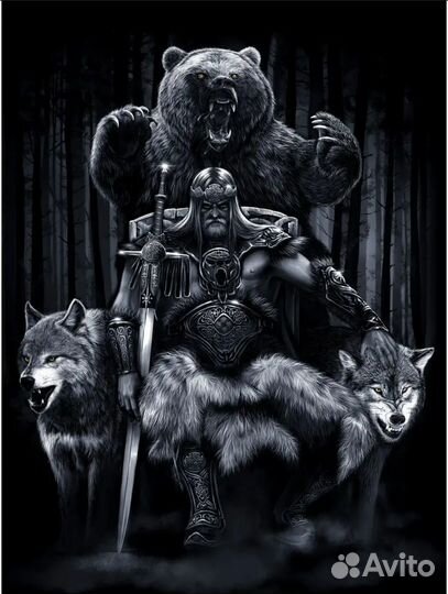 Футболка викинг