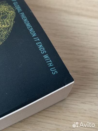 Verity Colleen Hoover книга на английском