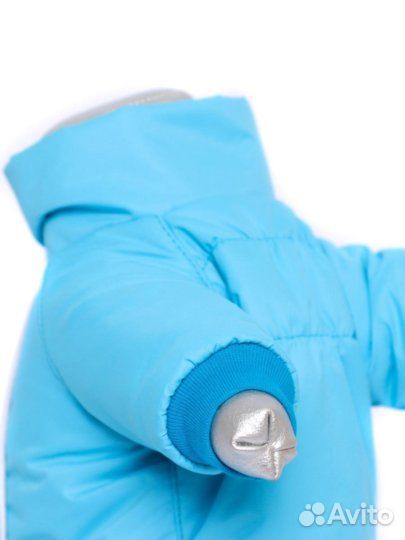 Новый зимний комбинезон на собачку