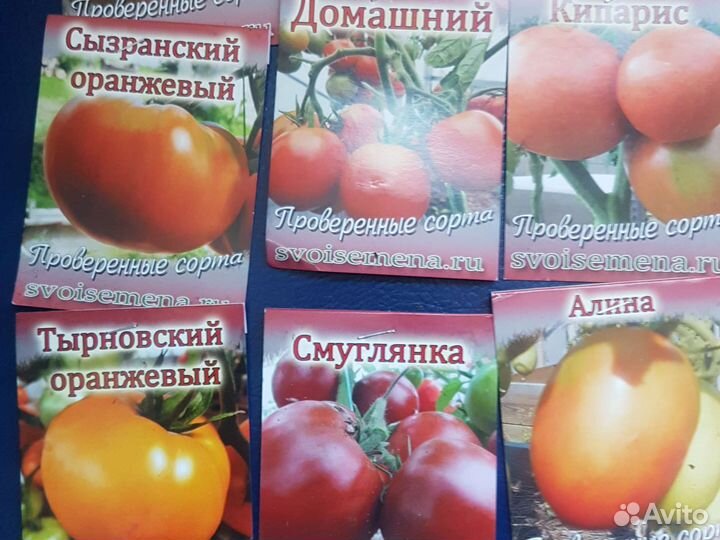 Рассада томатов в медведева