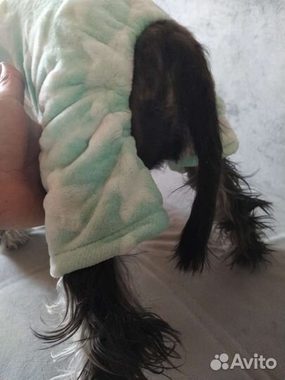 Теплый комбинезон для собак, унисекс