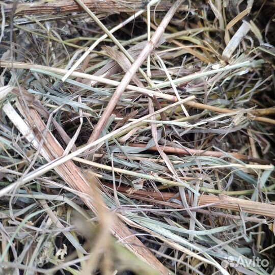 Сено.солома