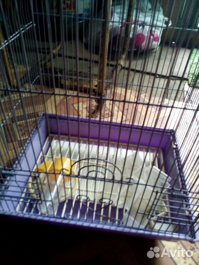 Клетка для волнистого попугая