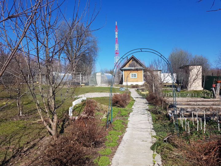 Дом 38,1 м² на участке 11,42 га