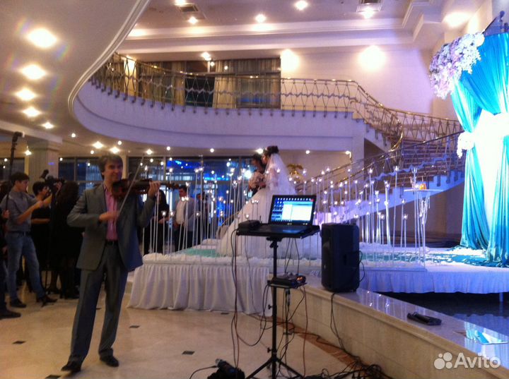 Скрипач на торжество. Скрипка на праздник