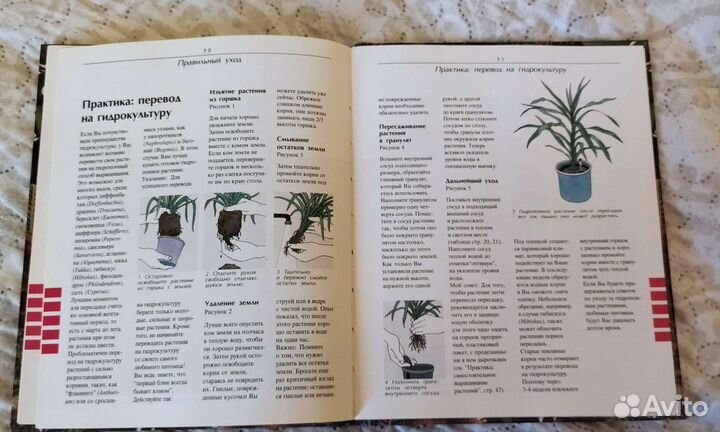 Комнатные растения книга