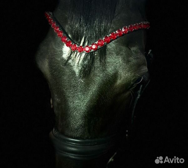 Налобник для лошади