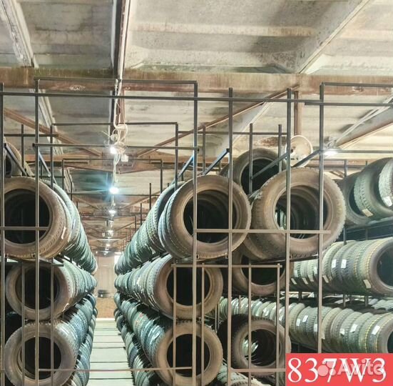 Bridgestone Blizzak DM-V1 235/55 R19 P