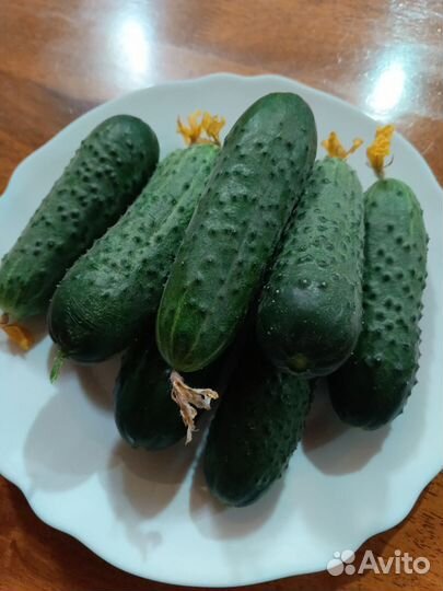 Продукты питания
