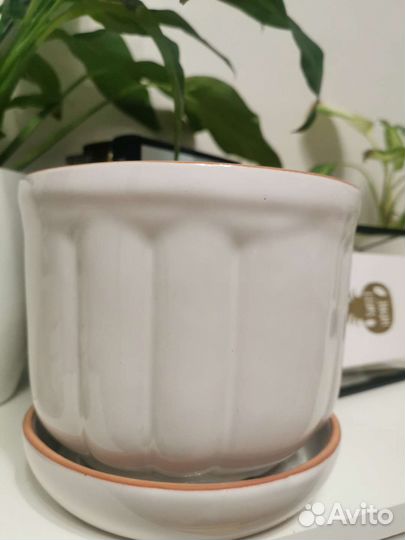 Новый Горшок/кашпо для цветов керамический 1.8л