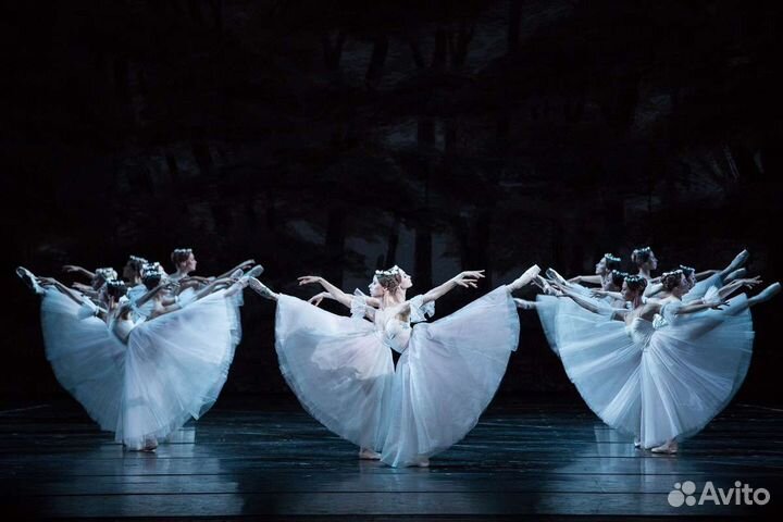 Билеты в Станиславского и Немировича. Жизель