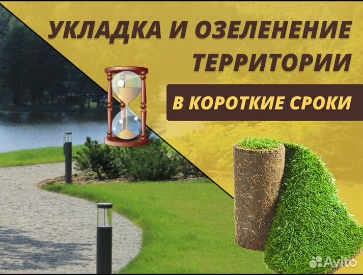 Рулонный газон Стандарт под ключ