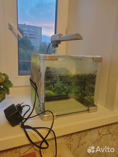 Аквариум