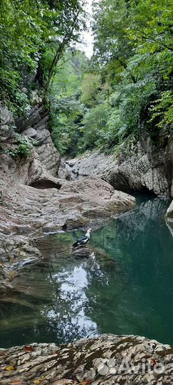 Экскурсии/гид по Сочи