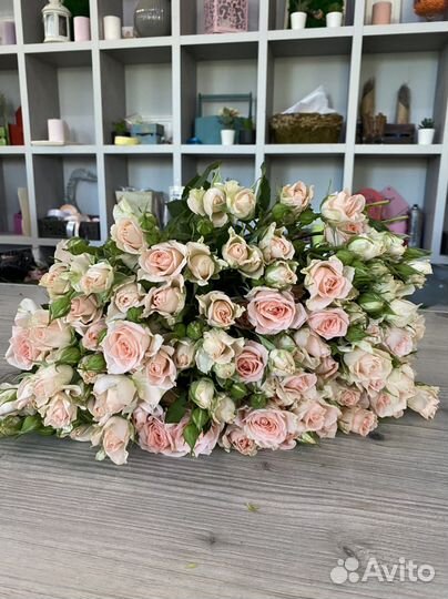 Кустовая Роза 70 см, цветы оптом, розы оптом