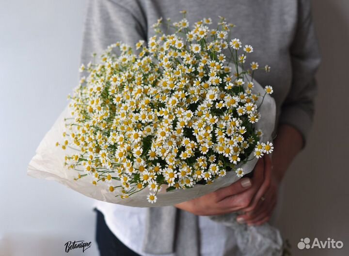 Кустовые ромашки с доставкой