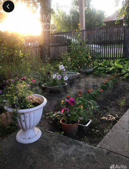 Дом 54,2 м² на участке 7 сот.