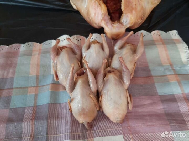 Мясо перепела Куры Индейка Утка