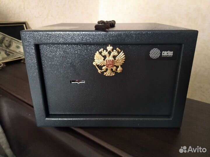 Сейф новый cactus