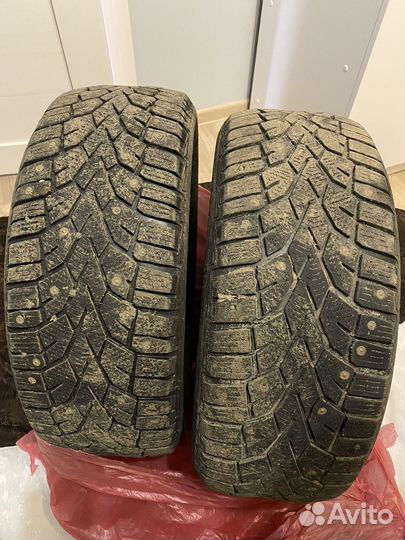 Gislaved ArcticControl 205/55 R16