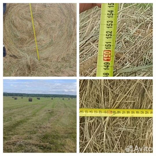 Сено в рулонах