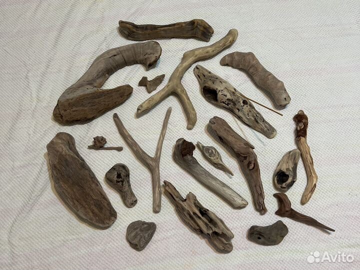 Топляк дрифтвуд сочинский