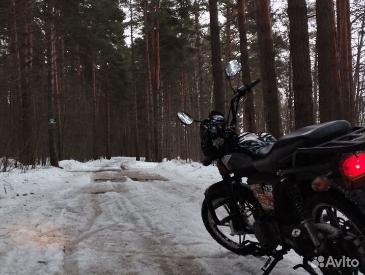 Альфа Рейсер 110